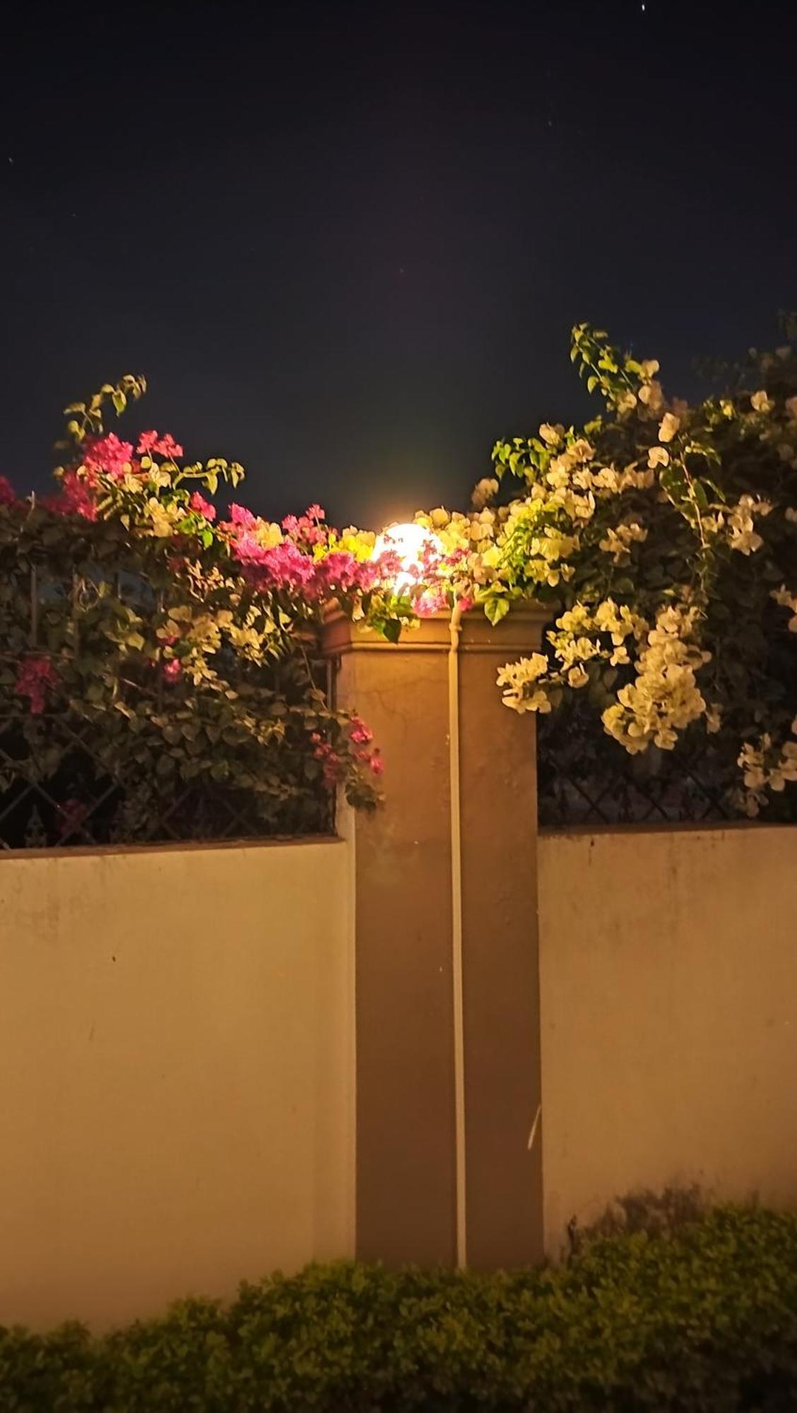 Shree Nanda Guest House Βαρανάσι Εξωτερικό φωτογραφία