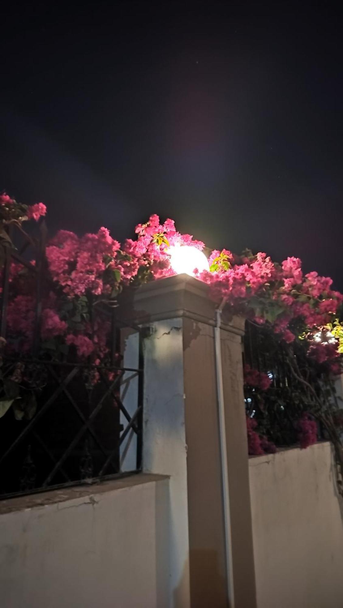 Shree Nanda Guest House Βαρανάσι Εξωτερικό φωτογραφία